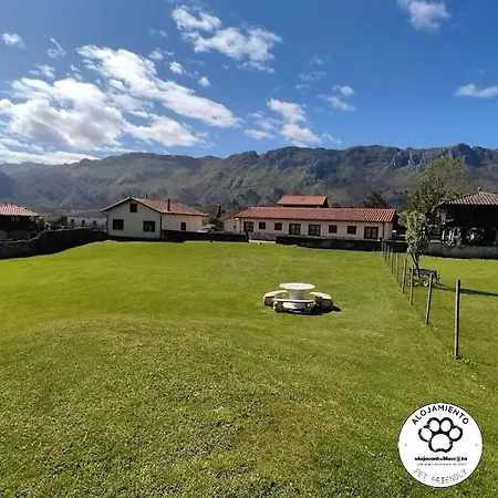 La Tarazana Parres 公寓 *